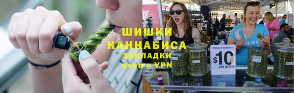 mix Богородицк