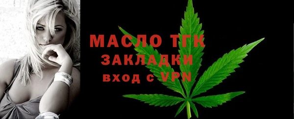 mix Богородицк