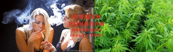 прущий лед Бердск