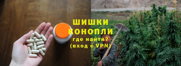 mix Богородицк