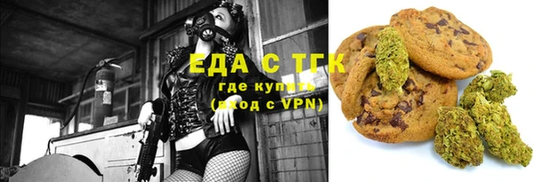 mix Богородицк