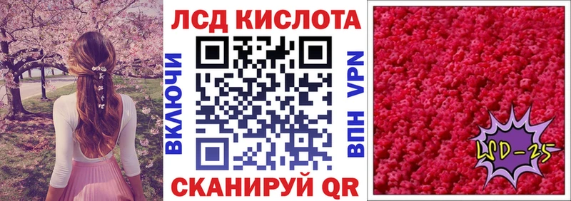 Марки NBOMe 1,5мг где можно купить Болохово