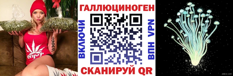 mega рабочий сайт дарнет шоп Болохово Псилоцибиновые грибы Magic Shrooms